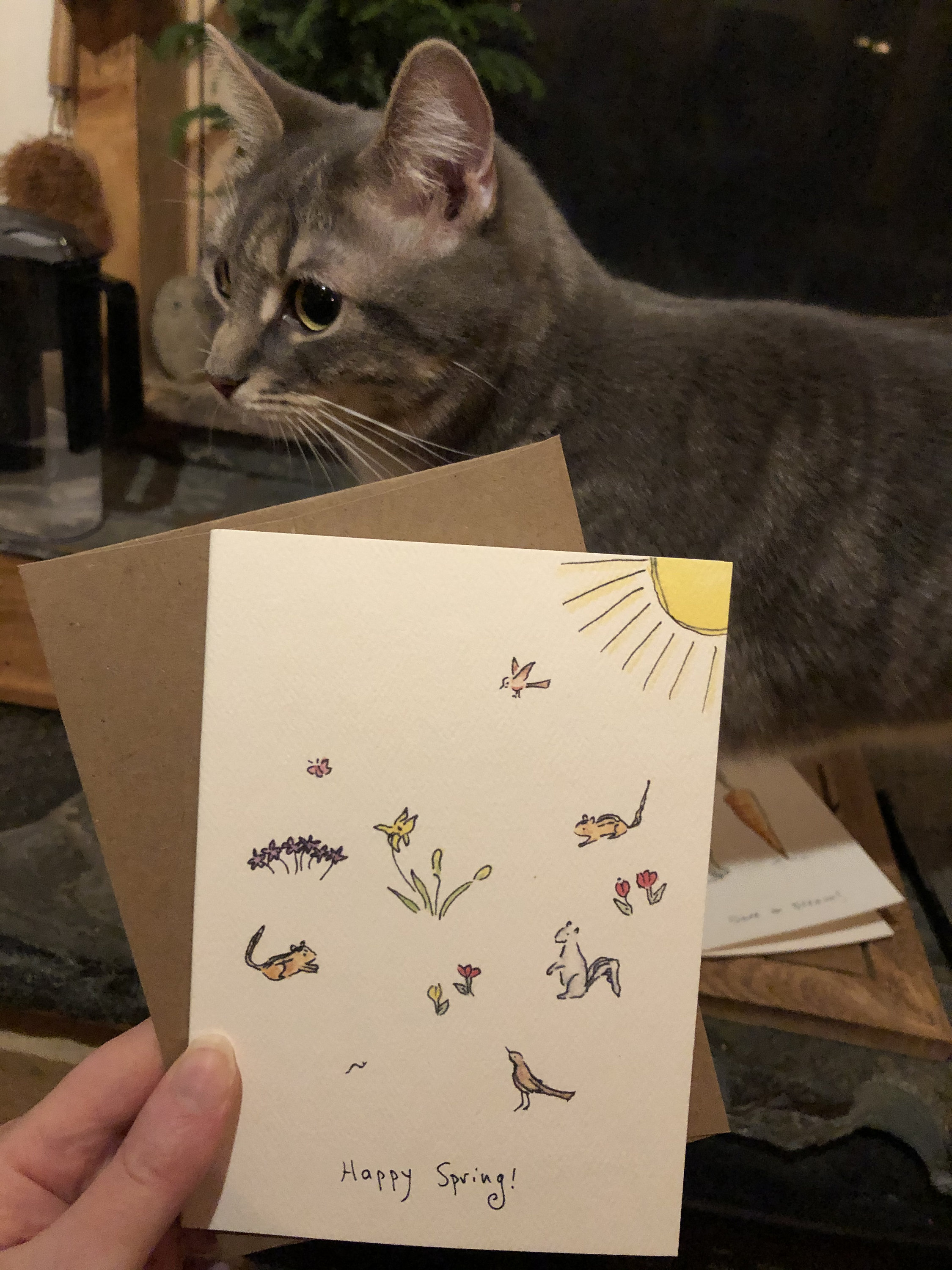 6 Pack of Happy Spring Cards. Spring Greeting Card. Flower Card