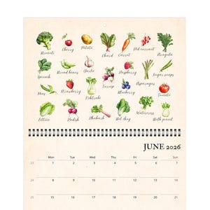 Op de afbeelding: Een witte keramische mok met een zwart handvat en de tekst "But First, Coffee" in een zwarte, handgeschreven lettertype. De mok staat op een wit oppervlak.