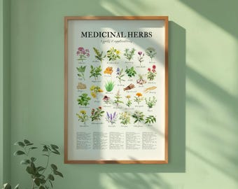 Medicinal Herbs Poster | Herbalism | Healing Plants Print