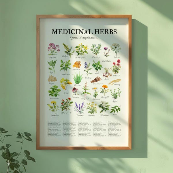 Medicinal Herbs Poster | Herbalism | Healing Plants Print