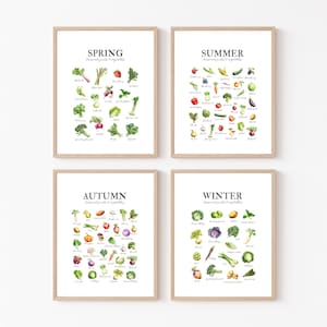May include: Four framed watercolor prints showcasing seasonal vegetables. Each print is labeled with a season: Spring, Summer, Autumn, and Winter. The prints display various vegetables with their names, offering a visual guide to seasonal produce.