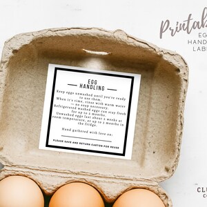 May include: A cardboard egg carton holding three brown eggs, with a black and white label that reads "Egg Handling." The label provides instructions on egg care. The words "Printable Egg Handling Labels" are at the top.