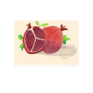 Pomegranate Botanical Illustration Original Wall Art Nature Lovers Gift