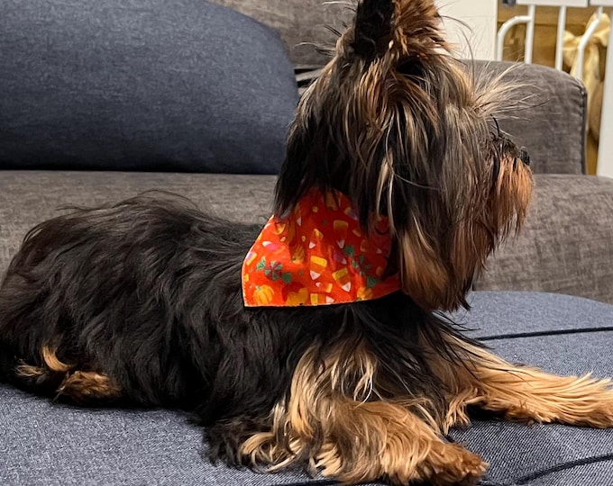 Fall Design Dog Collar Personalized Halloween Dog Bandana Custom Pet Name Handmade in Louisiana Personalized Pet Scrunchie Bandanna