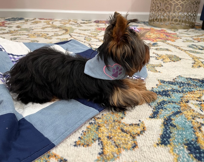 Anti-Anxiety Personalized Dog Bandana Handmade in Louisiana Unique Personalized Pet Scrunchie Bandanna Anti-Anxiety Pet Bandanna