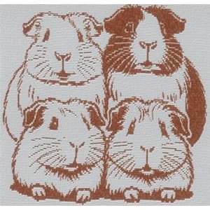May include: A detailed illustration of four guinea pigs in shades of brown and white. The guinea pigs are arranged in a stacked formation, with two on top and two below. The image has a textured, cross-stitch appearance.