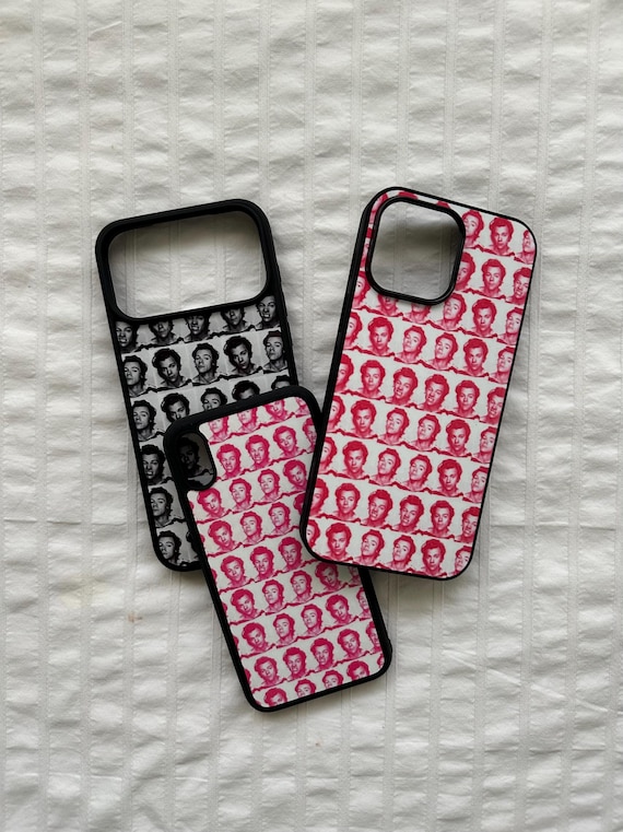 Harry Styles Case