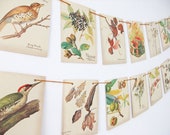 Autumn Bunting, Fall garland, Autumn Wedding Banner. Rustic wedding Pennants, Upcycled paper bunting, Edith Holden, Country diary, nature