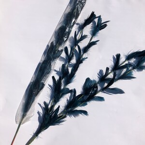 Könnte beinhalten: Zwei Zweige aus künstlichen tealblauen Federn in einer durchsichtigen Plastiktüte. Die Federn sind fächerförmig angeordnet.