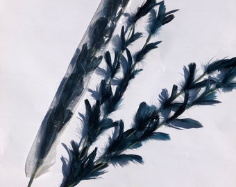 NOS Vintage Dark Blue Feather Craft Picks Set of four XL 24 inches long Supplies large