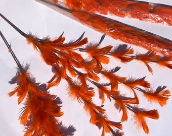 NOS Vintage Orange Feather Craft Picks Set of four XL 24 inches long Supplies large