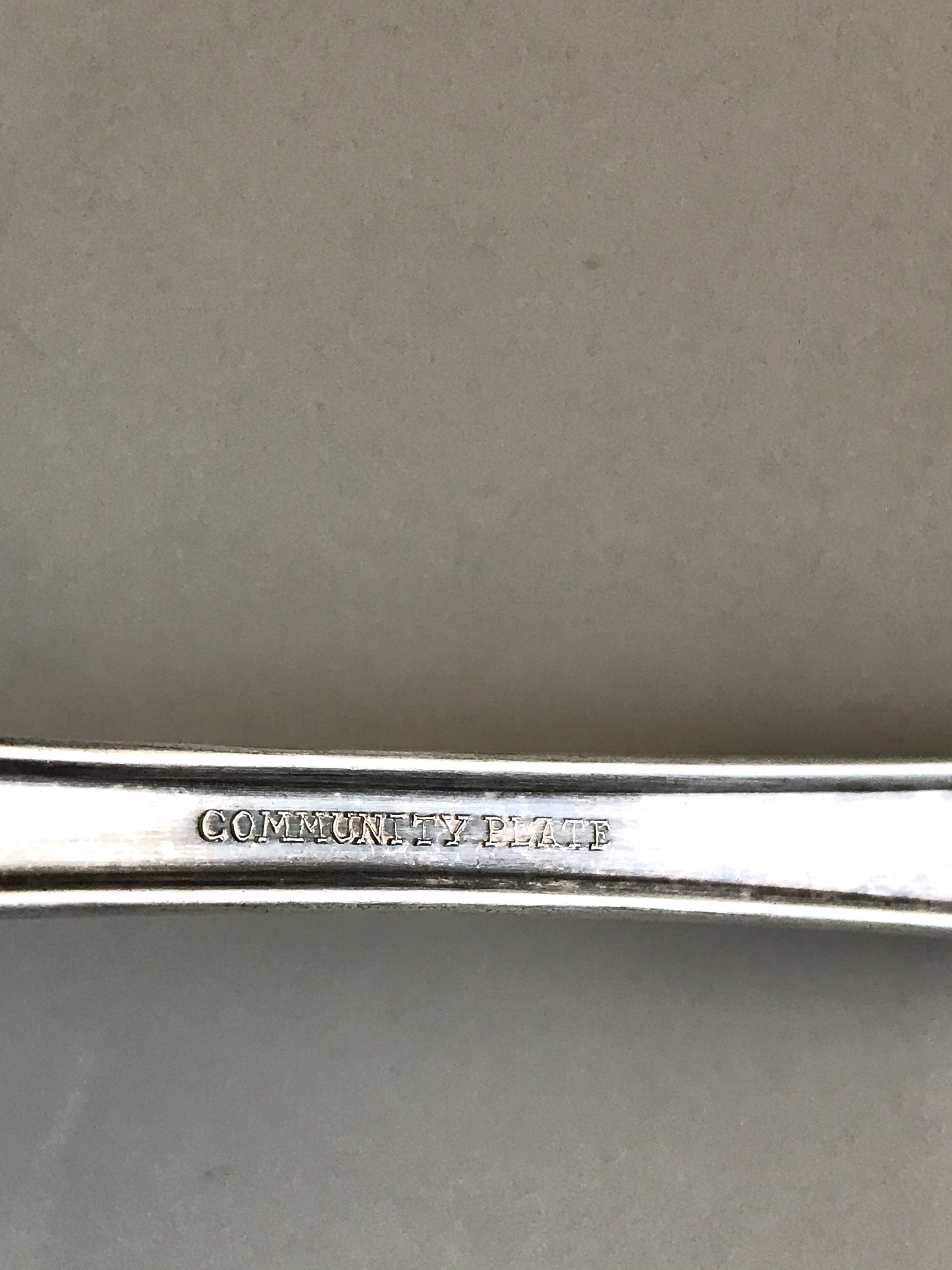 Oneida Silver Flatware Oneida Louis XVI Community Plate Etsy