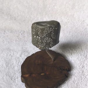 Könnte beinhalten: Ein graues Ammoniten-Fossilfragment mit komplexen, weißen, verzweigten Nahtmustern. Das Fossil ist auf einem dünnen, gebogenen Metallstab montiert, der an einer kreisförmigen Basis aus einer dunkelbraunen Holzscheibe mit sichtbaren Jahresringen befestigt ist.