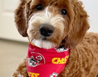 Kansas City Chiefs Hundehalstuch