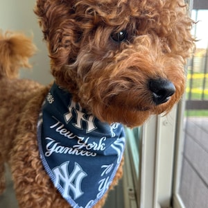 New York Yankees Pet Bandana