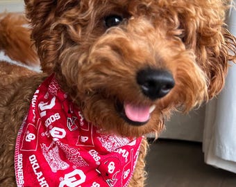Oklahoma University Sooners Pet Bandana