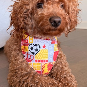 May include: A curly-haired brown dog wearing a triangular pet bandana featuring a colorful soccer-themed pattern. The fabric displays soccer balls, hearts, crowns, stars, and the text SPAIN and ROJA in red, yellow, and white graphic blocks.