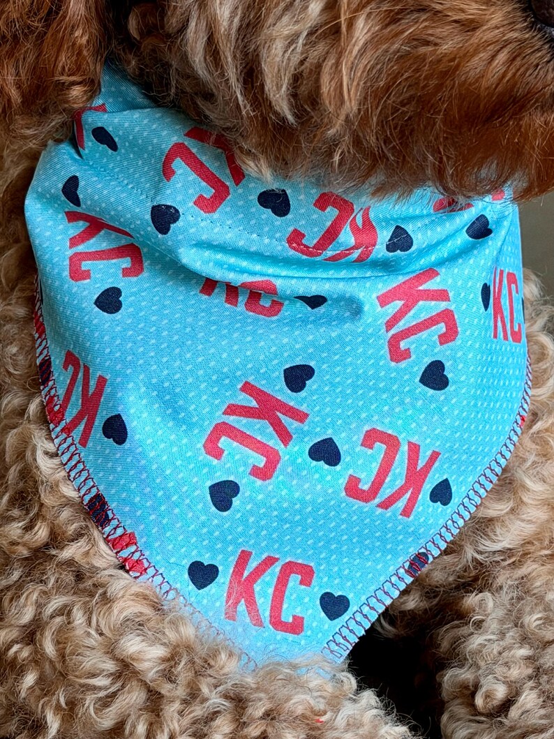 May include: A light blue dog bandana with the letters "KC" in red, interspersed with small black heart shapes. The bandana has a white dotted pattern and a red stitched border. The dog's fur is a light brown color.