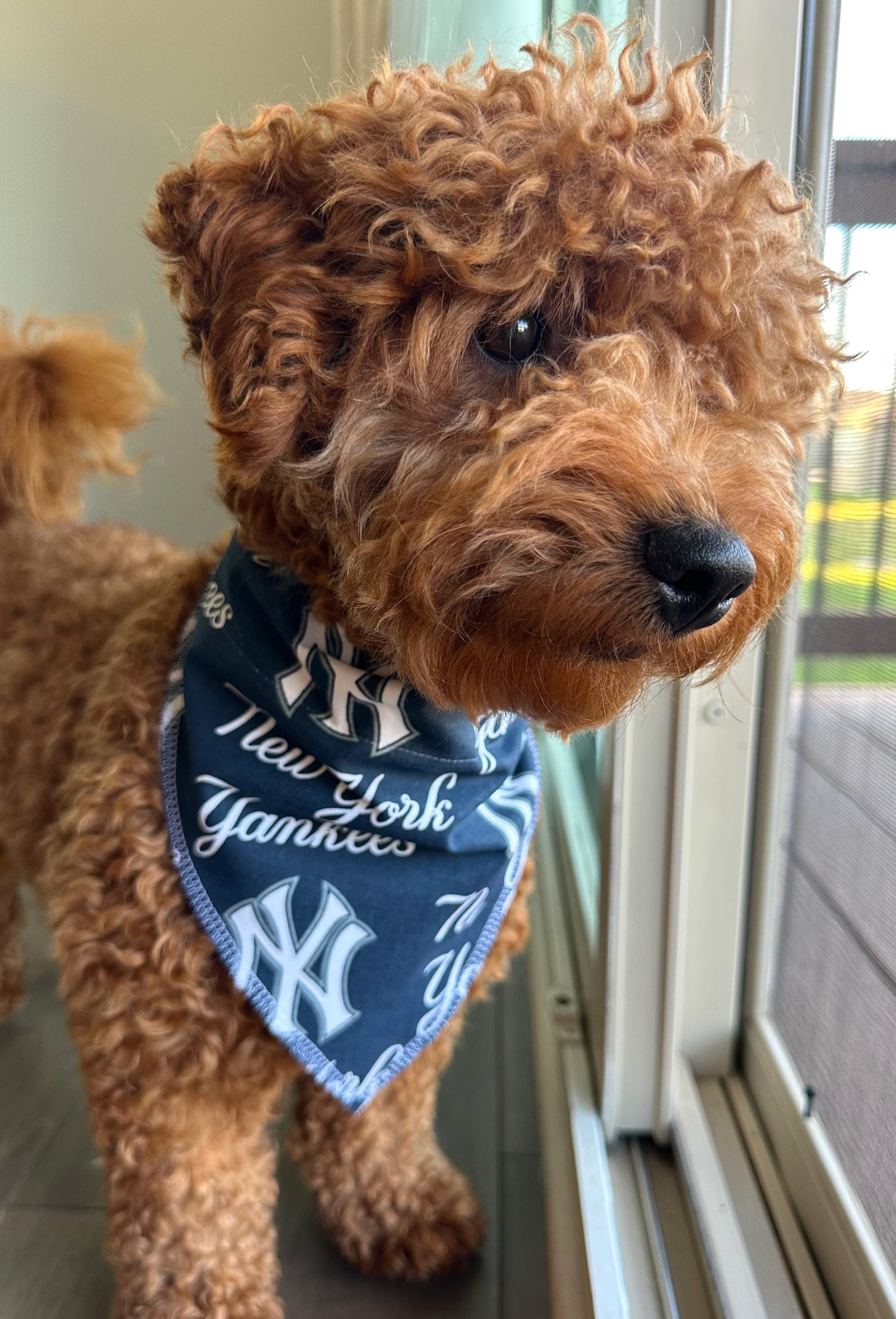 New York Jets Dog Bandana