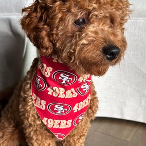 San Francisco 49ers Pet Bandana