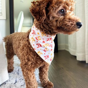 May include: A small, curly-haired, brown dog wearing a white bandana with the letters "KC" in red and yellow. The dog is standing on a patterned rug, with a wooden floor in the background. The dog is looking to the right.