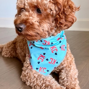 May include: A light brown dog wearing a light blue bandana. The bandana has the letters "KC" in red with black hearts. The dog is lying down on a wooden floor.
