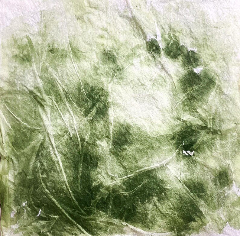 May include: A square sheet of thin, translucent paper featuring a crinkled texture. The surface displays an organic, mottled pattern of deep forest green and lighter sage green hues, creating a layered, marbled effect across the material.