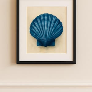 Seashell Art Print