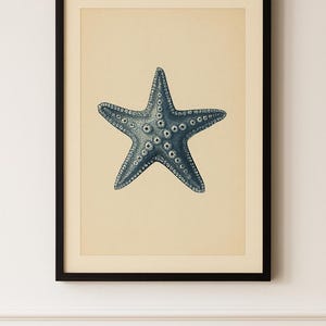 Starfish Art Print