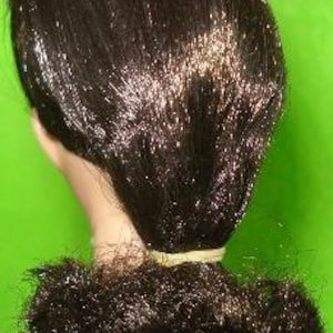 May include: A close-up of a doll's head with dark brown hair styled in a bun. The hair is pulled back and secured with a light-colored elastic band. The bun is positioned at the nape of the neck.