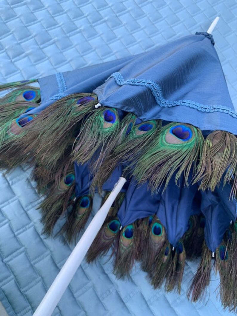 Rare Peacock Feather trim adorns two sides of Antique Etsy