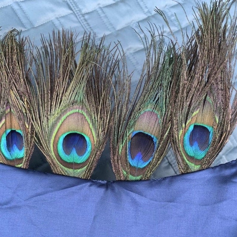 Rare Peacock Feather trim adorns two sides of Antique Etsy