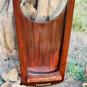 May include: A close-up of a wooden lyre with a rich, reddish-brown finish. The instrument has a rounded top and a rectangular base with tuning pegs. The strings are visible, stretched across the soundboard. The lyre rests on a bed of fallen leaves and grass.