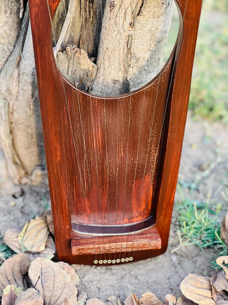 May include: A close-up of a wooden lyre with a rich, reddish-brown finish. The instrument has a rounded top and a rectangular base with tuning pegs. The strings are visible, stretched across the soundboard. The lyre rests on a bed of fallen leaves and grass.