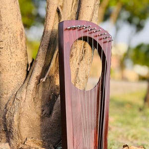 May include: A mahogany-colored lyre, a stringed musical instrument, leans against a tree. The instrument has a rounded oval opening and multiple strings stretched across its body. The background is blurred, with hints of green foliage.