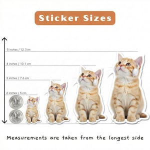 May include: A set of orange tabby cat stickers in various sizes, ranging from 2 inches to 5 inches. Each sticker features a cat wearing headphones and looking upwards. The text "Sticker Sizes" is at the top.