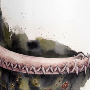 Macabre Crocodile Dinosaur Skull Mask Watercolor Sketch Art Mug by Carlations Carla Wyzgala image 5