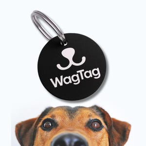 May include: A black, circular pet tag with the white text "WagTag" and a white paw print design. The tag is attached to a silver metal ring. The bottom of the image shows a dog's face.