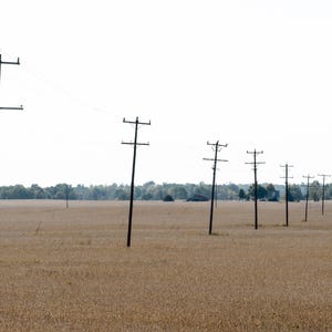 May include: A rural landscape featuring a field of dry, golden crops under a bright sky. A series of dark utility poles with crossarms stretch across the field, receding into the distance. The scene evokes a sense of open space and tranquility.