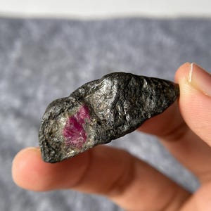 以下が含まれることがあります： 鮮やかな深紅色の宝石が埋め込まれた、ざらざらした濃い灰色の石。 石は指の間に挟まれ、自然で未研磨の質感と、暗い外観と明るい内観のコントラストを示しています。