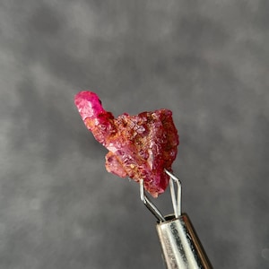 May include: A raw, uncut ruby gemstone held by a silver tweezer. The ruby displays a vibrant, deep red color with a rough, textured surface. The gemstone is a natural mineral specimen, showcasing its crystalline structure.