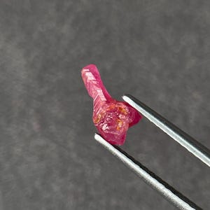 Op de afbeelding: Een ruwe, ongeslepen robijn edelsteen, vastgehouden door een zilveren pincet. De robijn heeft een levendige roze-rode kleur met een ruw, getextureerd oppervlak en enkele gouden insluitsels. De achtergrond is een effen, neutraal grijs.