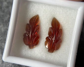 May include: Two carved, reddish-brown gemstone leaf pendants displayed in a white plastic case. The leaves have detailed veining and a polished finish, suggesting they are intended for jewelry making or display.