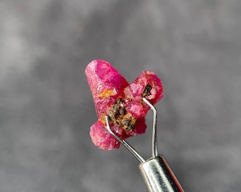 Natural 13 MM Ruby Specimen – Raw Unheated Red Crystal Mineral for Collectors, Healing, and Display