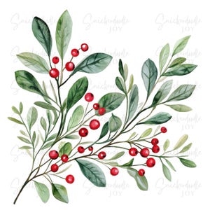 14 kerst groen clipart Hulst en bessen Clip Art vakantie aquarel PNGs kerstbladeren afdrukbare Png Junk Journal commercieel gebruik