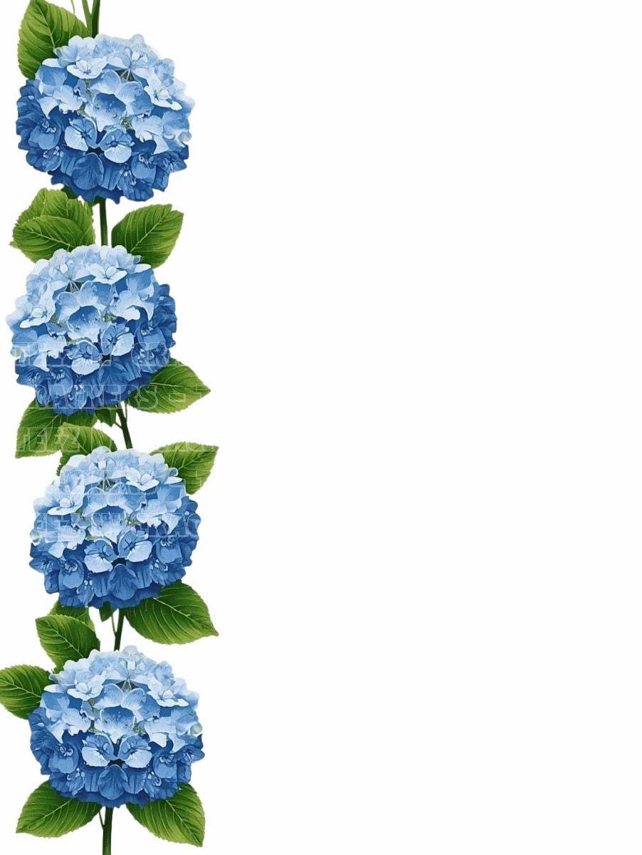 Hydrangea Borders PNG | Floral Corners & Frames for Wedding Designs - Etsy