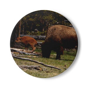 Ceramic Coaster