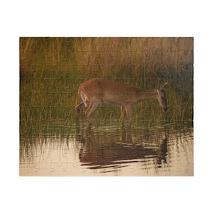 Puzzle (110, 252, 520, 1014-piece)