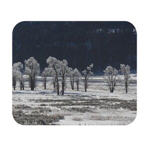Mouse Pad (Rectangle)