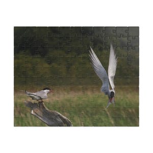 Puzzle (110, 252, 520, 1014-piece)